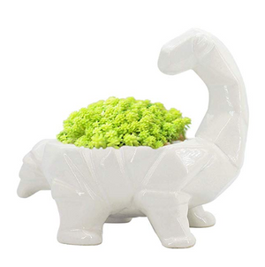 Cartoon Dinosaur Planter